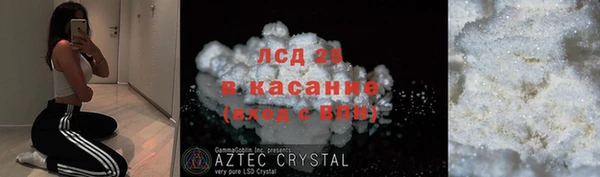 ПСИЛОЦИБИНОВЫЕ ГРИБЫ Алексеевка