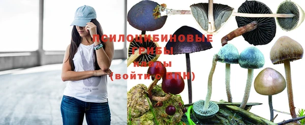 бутират Алексин